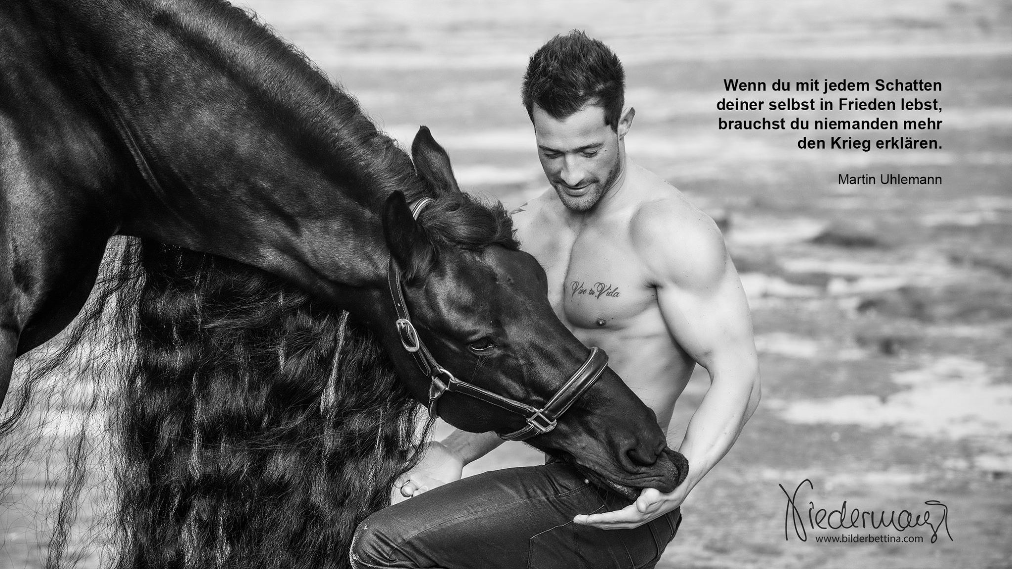 @bilderbettina - Horse Artist